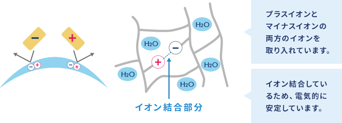 【両性イオン素材の特徴】