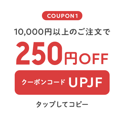 10,000円以上のご注文で250円OFF