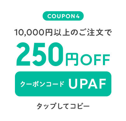 10,000円以上のご注文で250円OFF