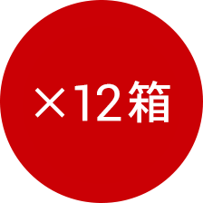 ×12箱